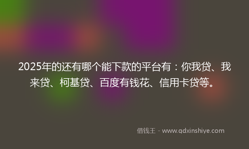 2025年的还有哪个能下款的平台有：你我贷、我来贷、柯基贷、百度有钱花、信用卡贷等。