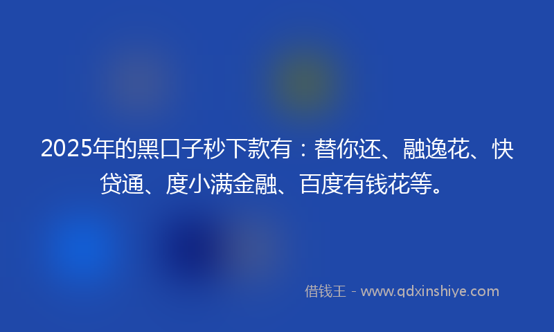 2025年的黑口子秒下款有：替你还、融逸花、快贷通、度小满金融、百度有钱花等。