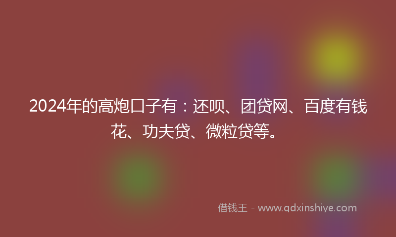 2024年的高炮口子有：还呗、团贷网、百度有钱花、功夫贷、微粒贷等。
