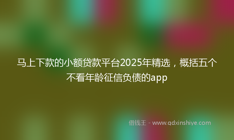 马上下款的小额贷款平台2025年精选，概括五个不看年龄征信负债的app