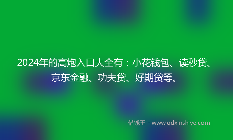 2024年的高炮入口大全有：小花钱包、读秒贷、京东金融、功夫贷、好期贷等。
