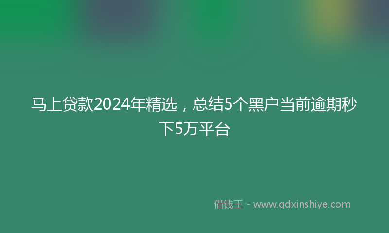 马上贷款2024年精选，总结5个黑户当前逾期秒下5万平台