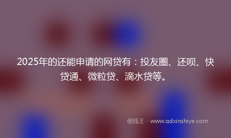 2025年的还能申请的网贷有：投友圈、还呗、快贷通、微粒贷、滴水贷等。