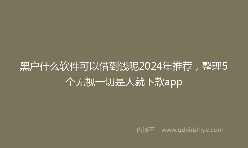 黑户什么软件可以借到钱呢2024年推荐，整理5个无视一切是人就下款app