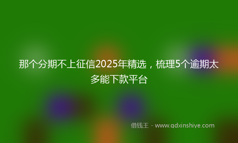 那个分期不上征信2025年精选，梳理5个逾期太多能下款平台