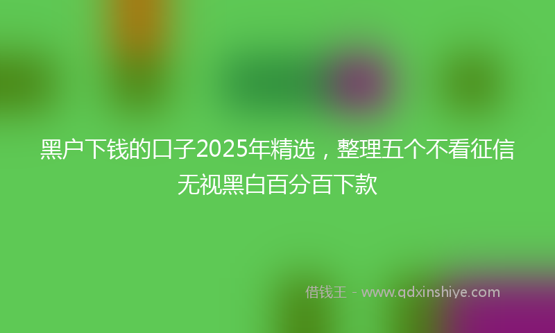 黑户下钱的口子2025年精选，整理五个不看征信无视黑白百分百下款