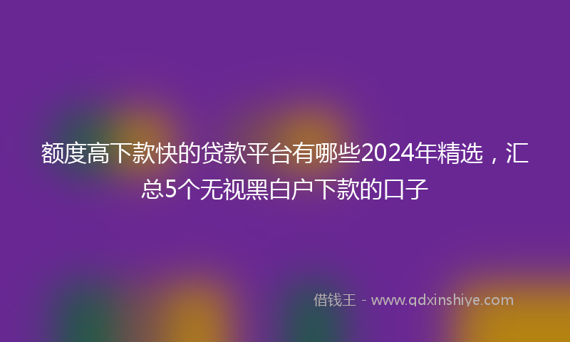 额度高下款快的贷款平台有哪些2024年精选，汇总5个无视黑白户下款的口子