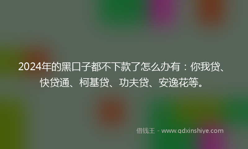 2024年的黑口子都不下款了怎么办有：你我贷、快贷通、柯基贷、功夫贷、安逸花等。