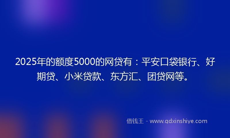 2025年的额度5000的网贷有：平安口袋银行、好期贷、小米贷款、东方汇、团贷网等。