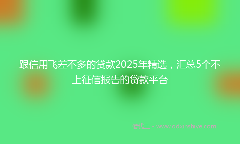 跟信用飞差不多的贷款2025年精选，汇总5个不上征信报告的贷款平台