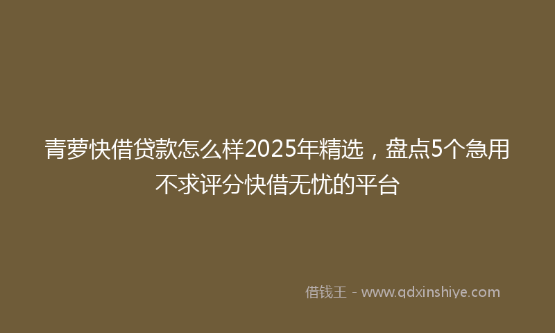 青萝快借贷款怎么样2025年精选，盘点5个急用不求评分快借无忧的平台