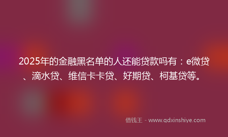 2025年的金融黑名单的人还能贷款吗有：e微贷、滴水贷、维信卡卡贷、好期贷、柯基贷等。
