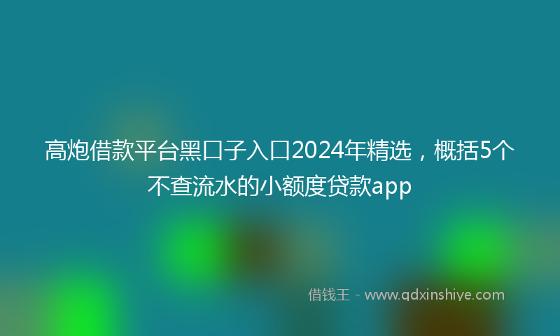高炮借款平台黑口子入口2024年精选，概括5个不查流水的小额度贷款app