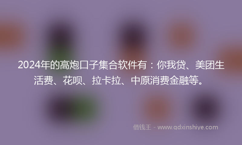 2024年的高炮口子集合软件有：你我贷、美团生活费、花呗、拉卡拉、中原消费金融等。