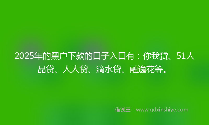 2025年的黑户下款的口子入口有：你我贷、51人品贷、人人贷、滴水贷、融逸花等。