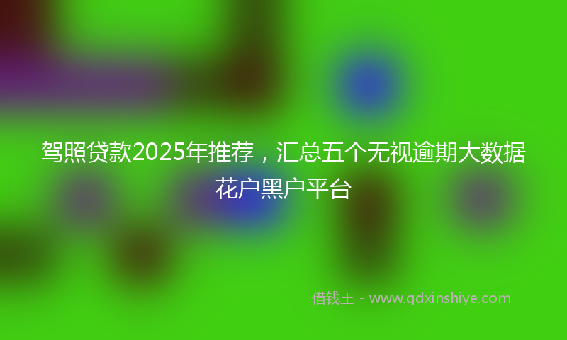 驾照贷款2025年推荐，汇总五个无视逾期大数据花户黑户平台