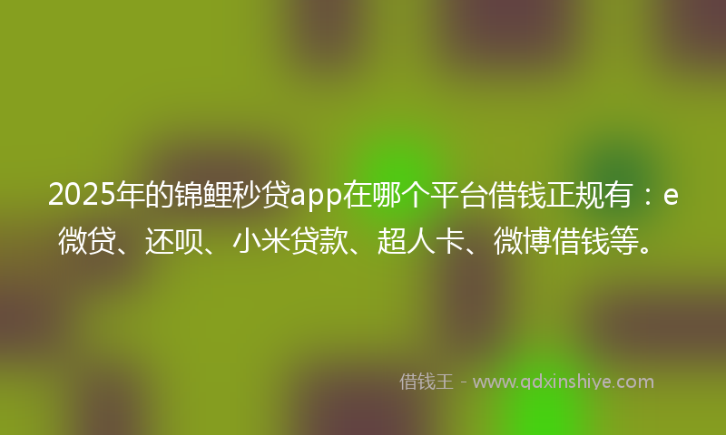 2025年的锦鲤秒贷app在哪个平台借钱正规有：e微贷、还呗、小米贷款、超人卡、微博借钱等。