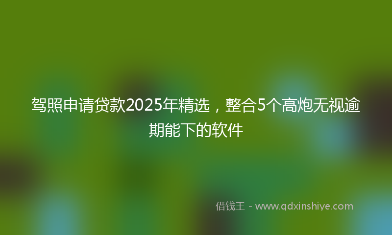 驾照申请贷款2025年精选，整合5个高炮无视逾期能下的软件