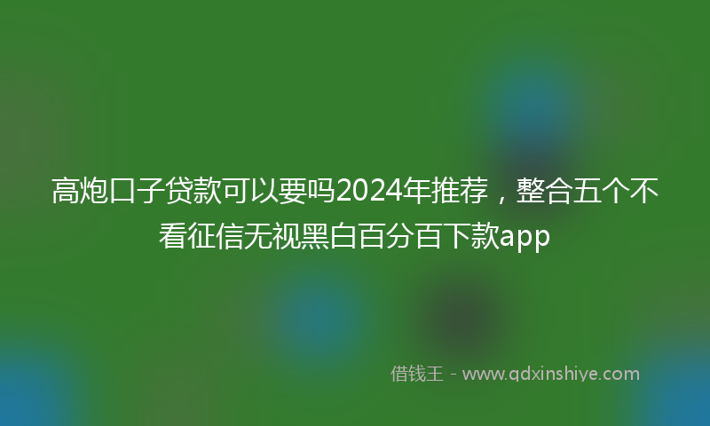 高炮口子贷款可以要吗2024年推荐，整合五个不看征信无视黑白百分百下款app