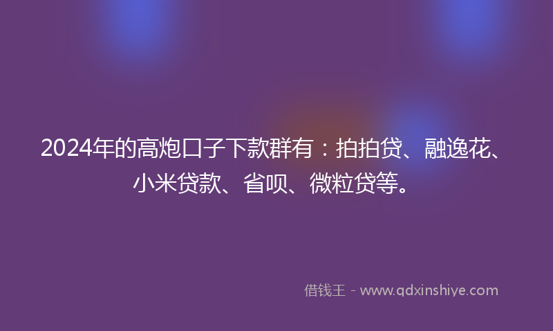 2024年的高炮口子下款群有：拍拍贷、融逸花、小米贷款、省呗、微粒贷等。