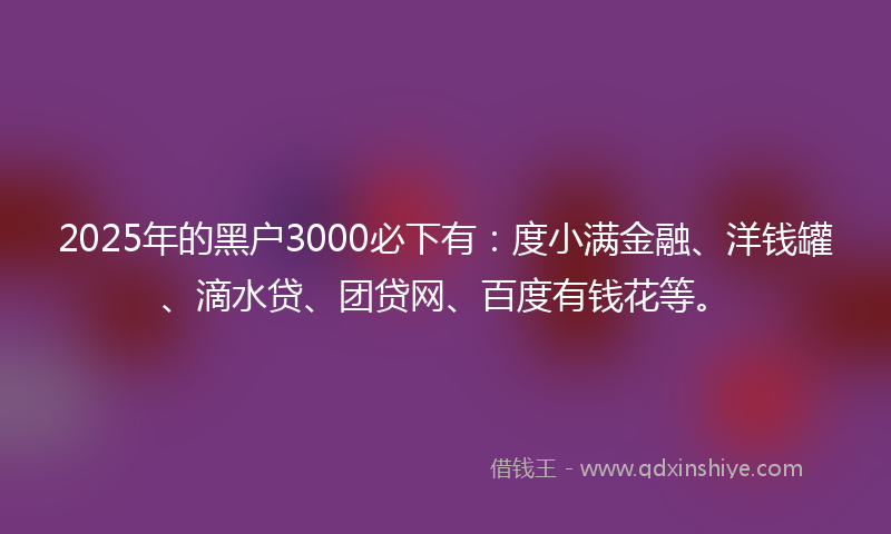 2025年的黑户3000必下有：度小满金融、洋钱罐、滴水贷、团贷网、百度有钱花等。