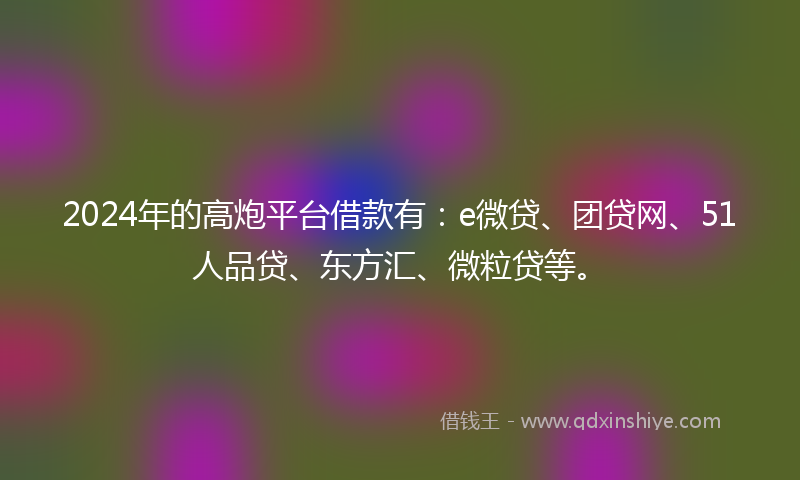 2024年的高炮平台借款有：e微贷、团贷网、51人品贷、东方汇、微粒贷等。