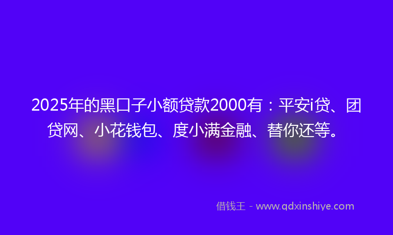 2025年的黑口子小额贷款2000有：平安i贷、团贷网、小花钱包、度小满金融、替你还等。
