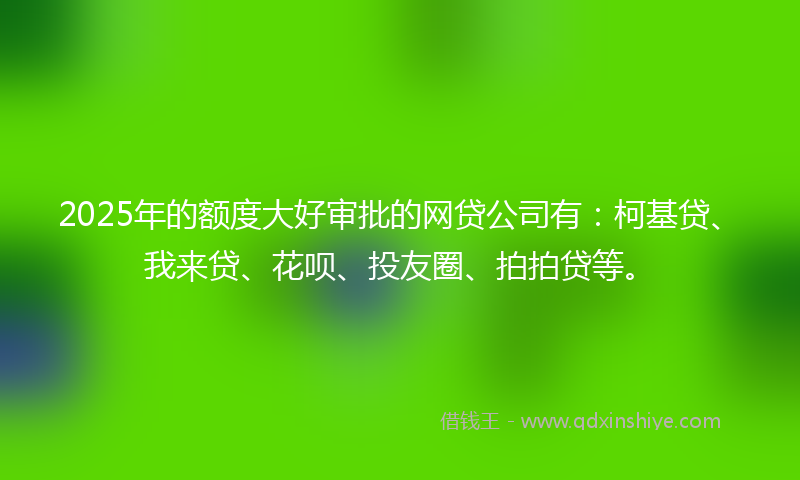 2025年的额度大好审批的网贷公司有：柯基贷、我来贷、花呗、投友圈、拍拍贷等。
