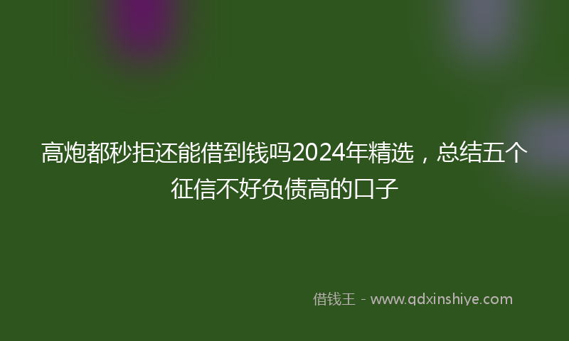 高炮都秒拒还能借到钱吗2024年精选，总结五个征信不好负债高的口子