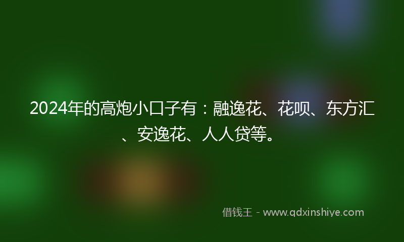 2024年的高炮小口子有：融逸花、花呗、东方汇、安逸花、人人贷等。