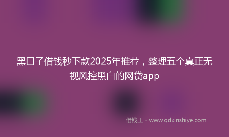 黑口子借钱秒下款2025年推荐，整理五个真正无视风控黑白的网贷app
