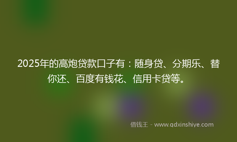 2025年的高炮贷款口子有：随身贷、分期乐、替你还、百度有钱花、信用卡贷等。