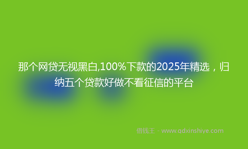 那个网贷无视黑白,100%下款的2025年精选，归纳五个贷款好做不看征信的平台