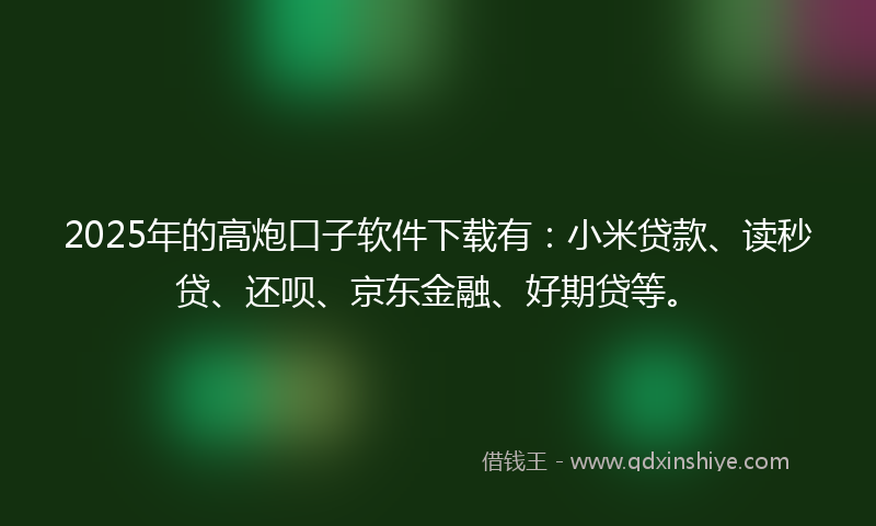 2025年的高炮口子软件下载有：小米贷款、读秒贷、还呗、京东金融、好期贷等。