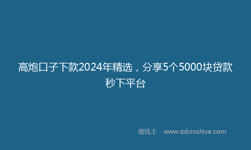 高炮口子下款2024年精选，分享5个5000块贷款秒下平台