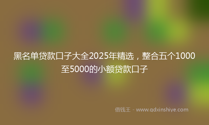 黑名单贷款口子大全2025年精选，整合五个1000至5000的小额贷款口子