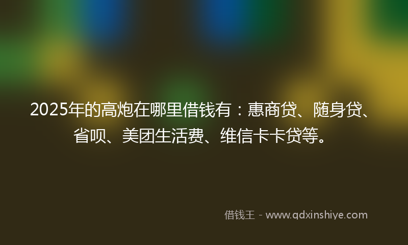2025年的高炮在哪里借钱有：惠商贷、随身贷、省呗、美团生活费、维信卡卡贷等。