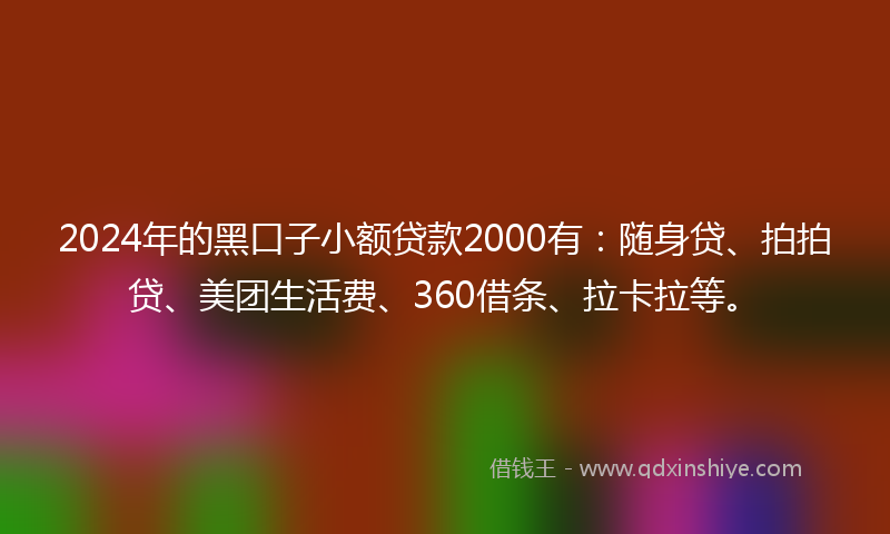 2024年的黑口子小额贷款2000有：随身贷、拍拍贷、美团生活费、360借条、拉卡拉等。