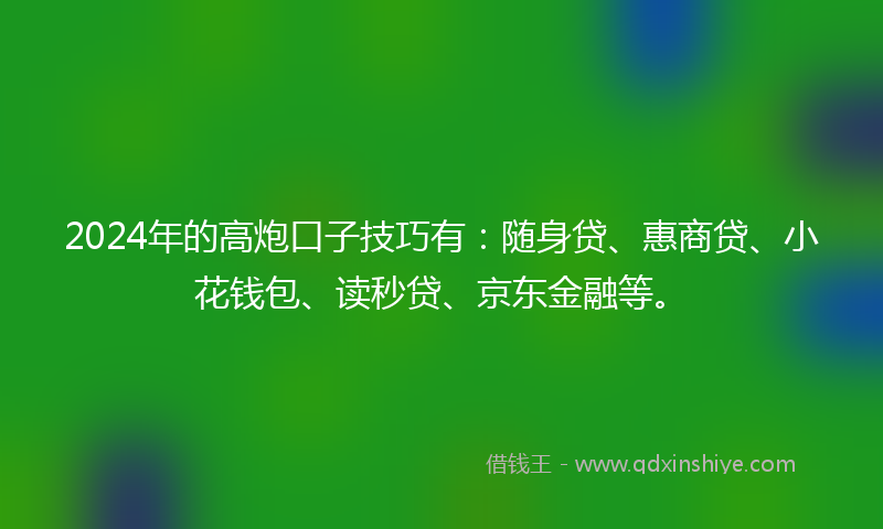 2024年的高炮口子技巧有：随身贷、惠商贷、小花钱包、读秒贷、京东金融等。