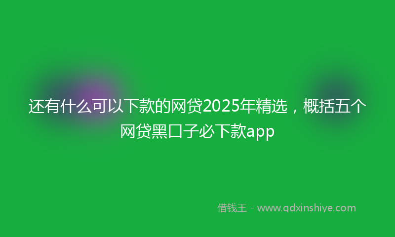 还有什么可以下款的网贷2025年精选，概括五个网贷黑口子必下款app