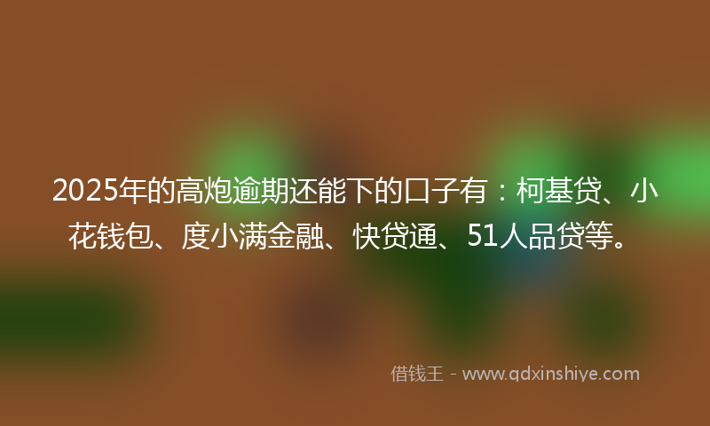 2025年的高炮逾期还能下的口子有：柯基贷、小花钱包、度小满金融、快贷通、51人品贷等。
