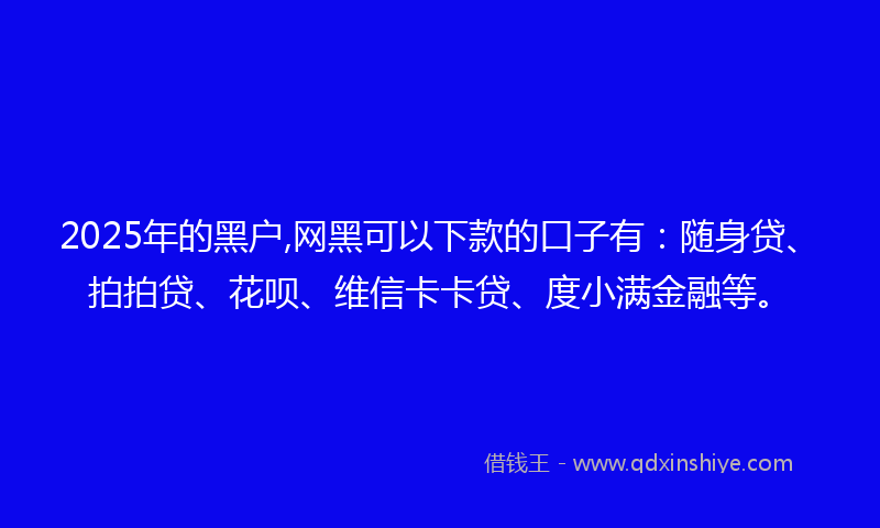 2025年的黑户,网黑可以下款的口子有：随身贷、拍拍贷、花呗、维信卡卡贷、度小满金融等。