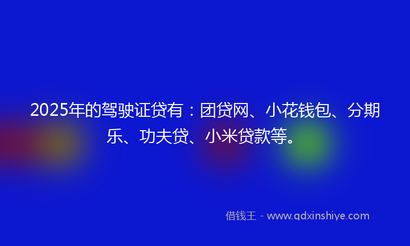 2025年的驾驶证贷有：团贷网、小花钱包、分期乐、功夫贷、小米贷款等。