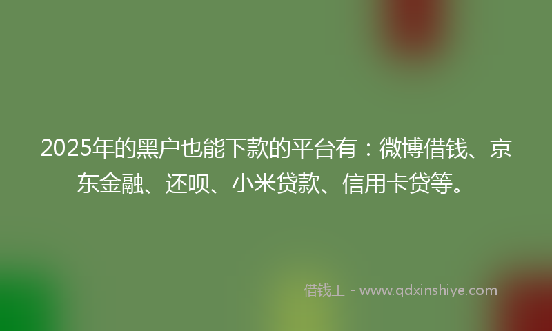 2025年的黑户也能下款的平台有：微博借钱、京东金融、还呗、小米贷款、信用卡贷等。
