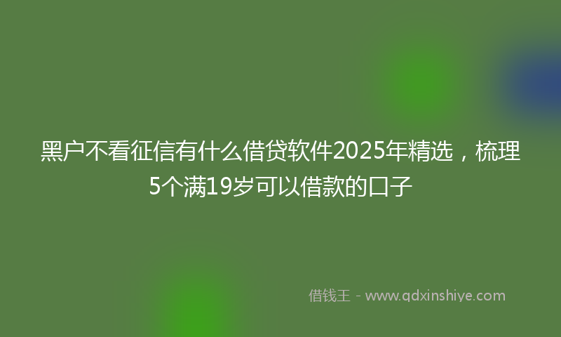 黑户不看征信有什么借贷软件2025年精选，梳理5个满19岁可以借款的口子