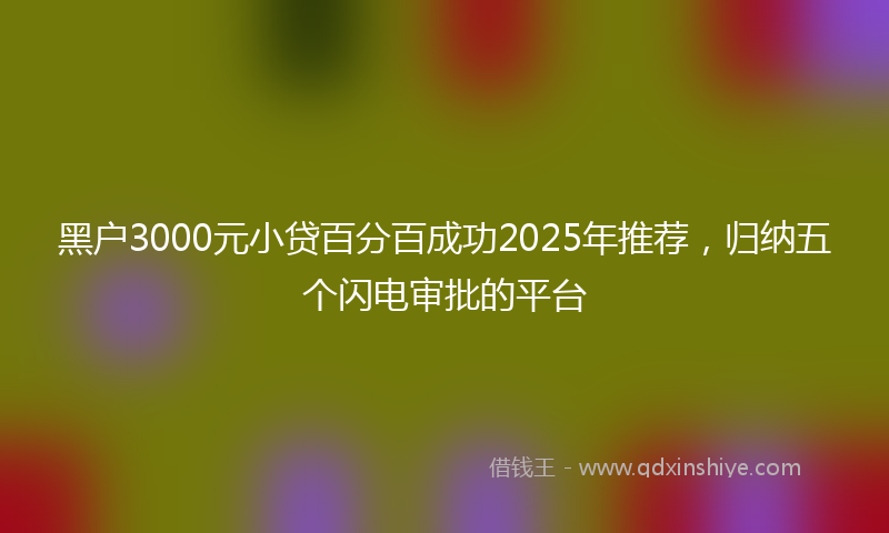 黑户3000元小贷百分百成功2025年推荐，归纳五个闪电审批的平台