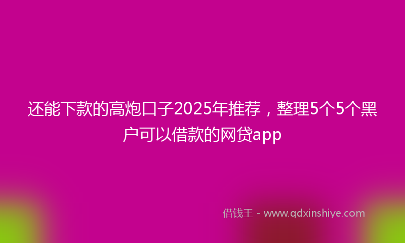 还能下款的高炮口子2025年推荐，整理5个5个黑户可以借款的网贷app