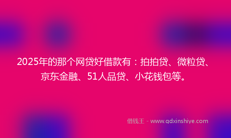 2025年的那个网贷好借款有：拍拍贷、微粒贷、京东金融、51人品贷、小花钱包等。