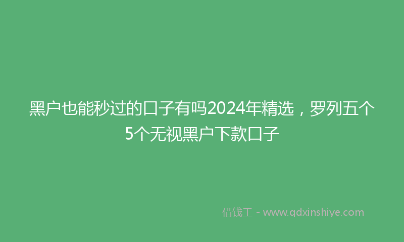黑户也能秒过的口子有吗2024年精选，罗列五个5个无视黑户下款口子