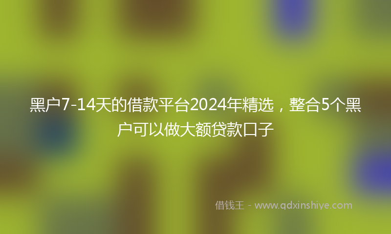 黑户7-14天的借款平台2024年精选，整合5个黑户可以做大额贷款口子